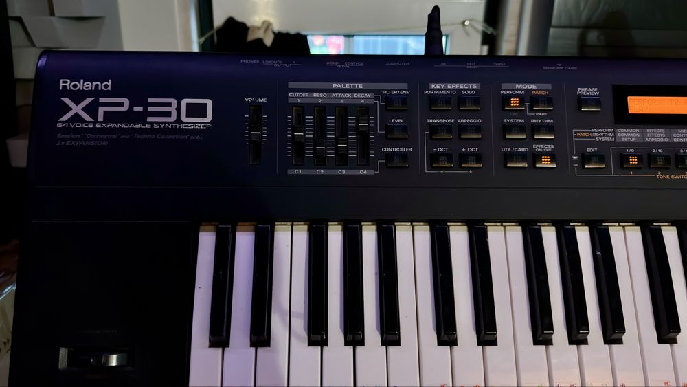 Roland  XP 30 Strymon Big Sky