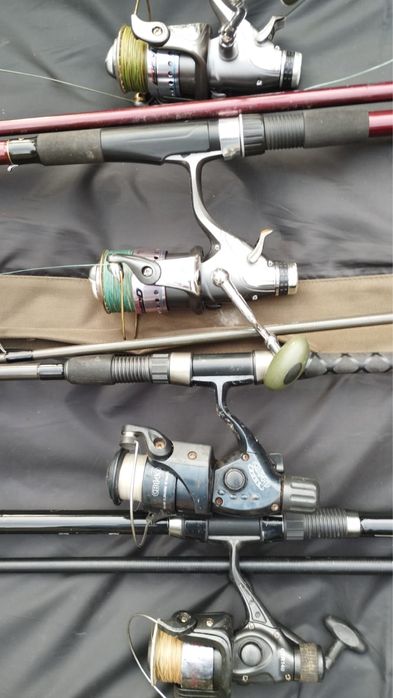 Спінінги з катушкою CROWN Carp X  3шт. Albastar Bluefish бордова 1 шт.