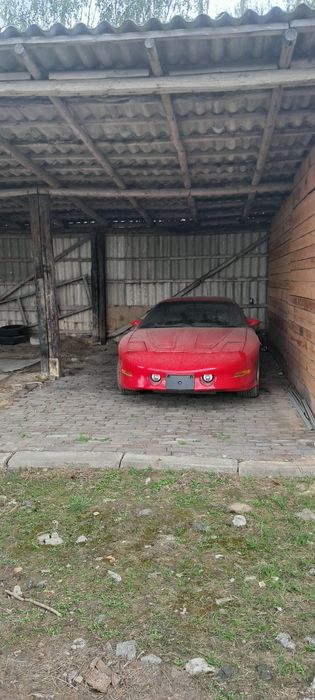 Wiata do wynajęcia