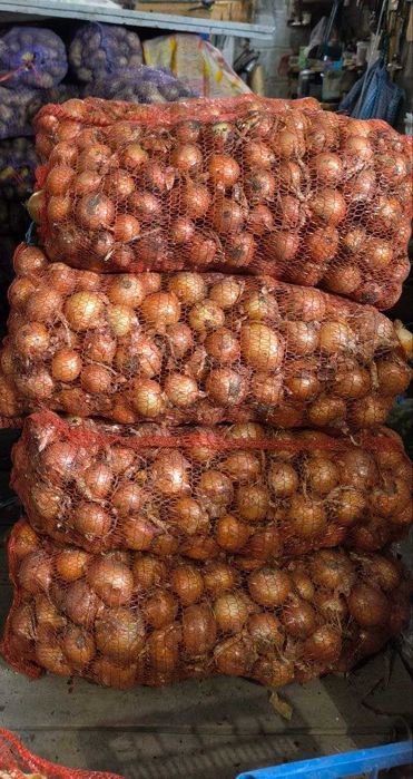 картопля  цибуля  картошка  домашня