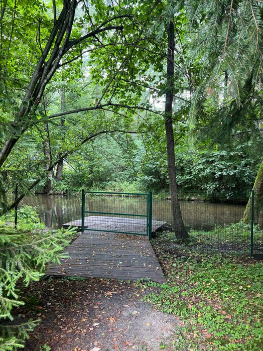 Działka inwestycyjna – restauracja+ domek na wynajem | Roztocze