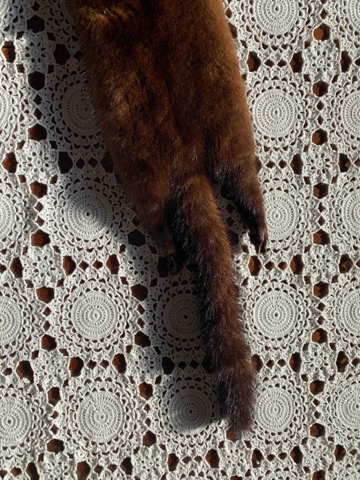 Estola em vison castanho escuro