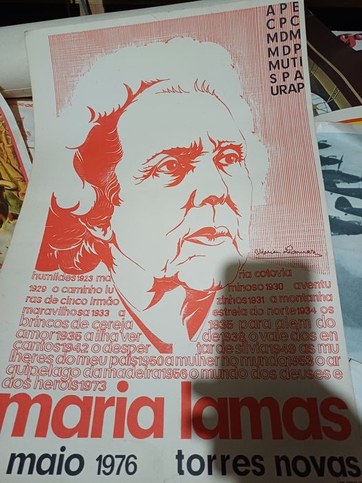 Cartaz de maria lamas