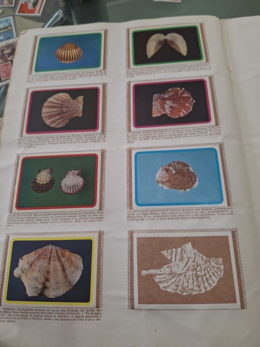 Caderneta de Cromos completa com 250 cromos ""Mineralogia - Minerais, Fósseis e Conchas" Edições Francisco  Más Lda de 1977