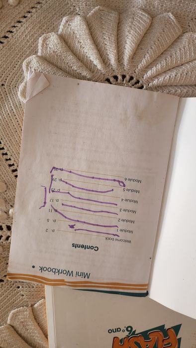 Livro de fichas ingles 6 ano Flash