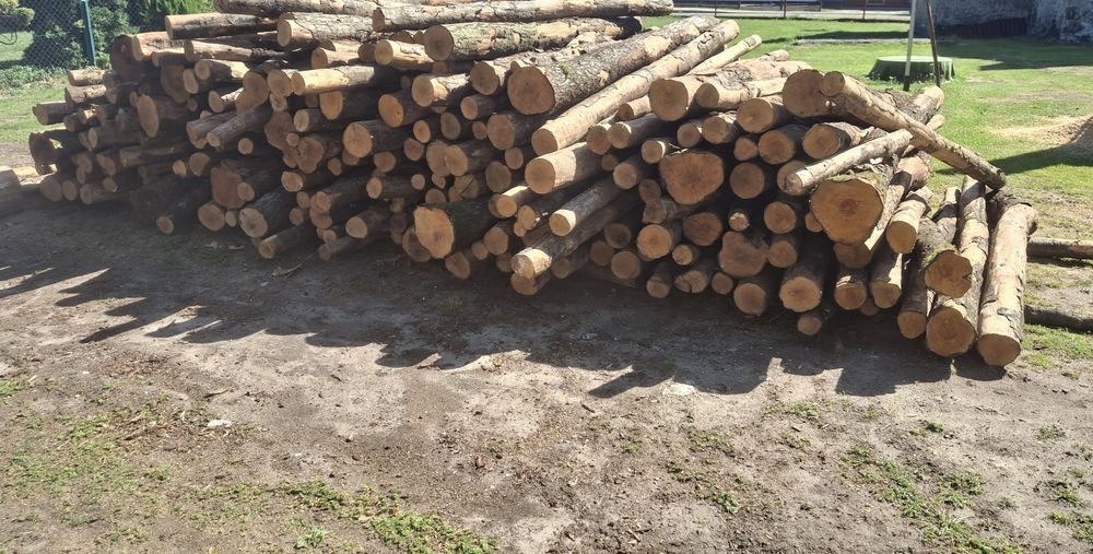 Drewno kominkowe I opałowe Olcha