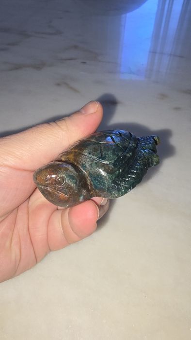 Ocean Jasper tartaruga