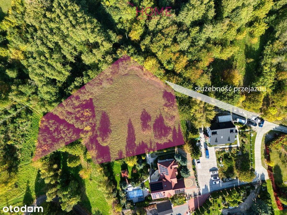 Działka na sprzedaż - Matysówka 38,59a - Widok 3