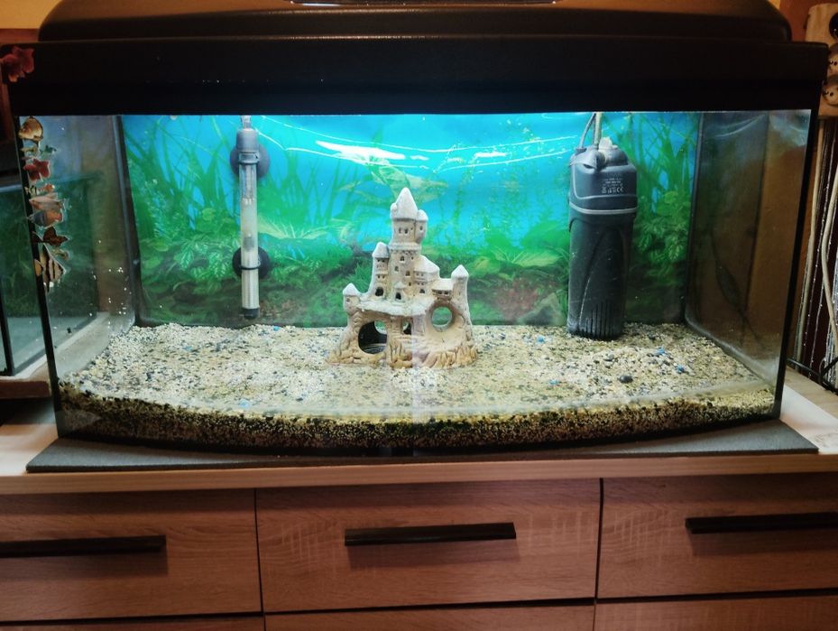 Akwarium 112l z sprzętem
