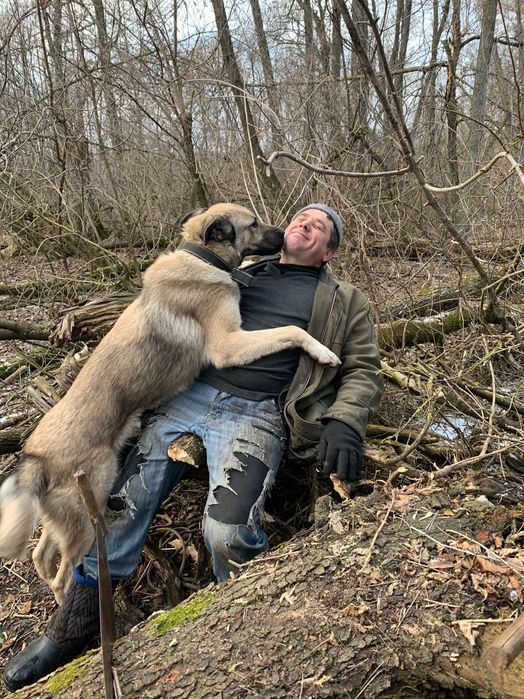Гарний кобель для сучки