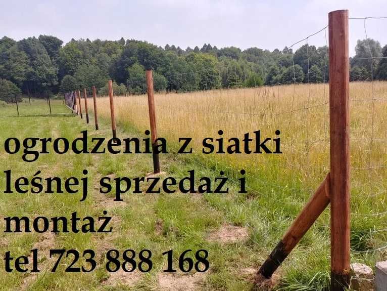 Ogrodzenie Drewniane Budowlane Leśne - Sprzedaż i  Montaż