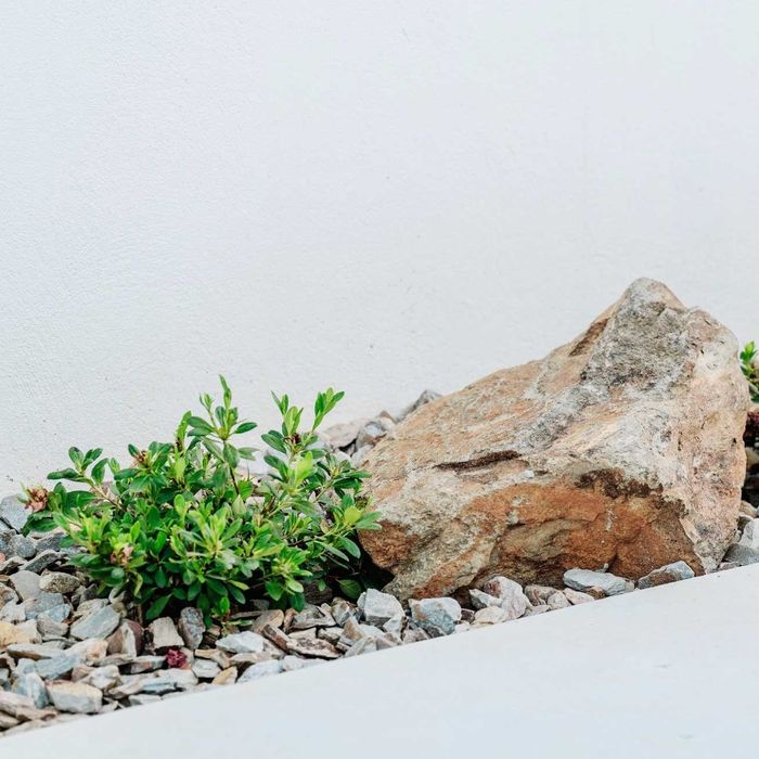Xisto Oxidado - Pedra Decorativa