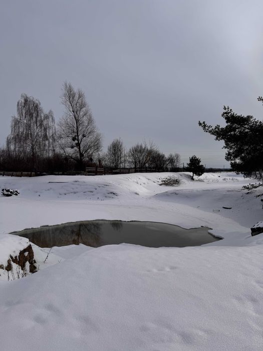 Продаж заводу продовольчих товарів м. Березне