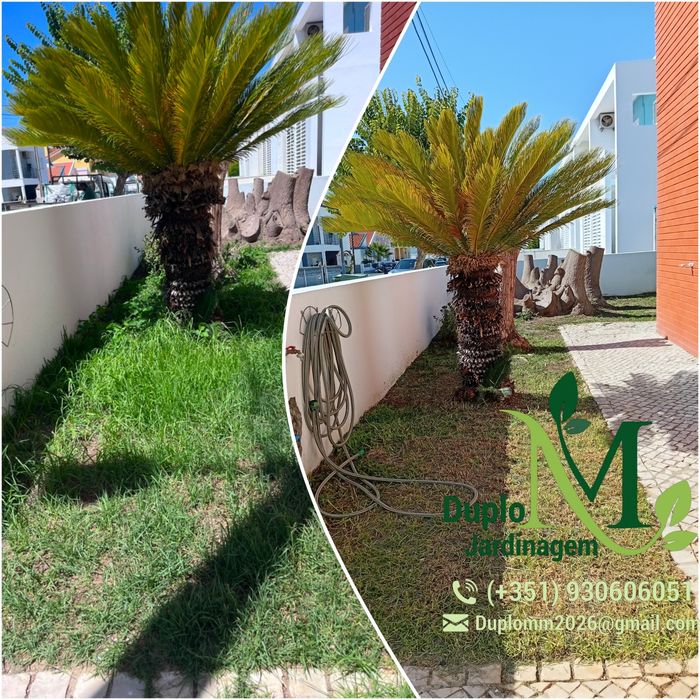 Serviço de Jardinagem