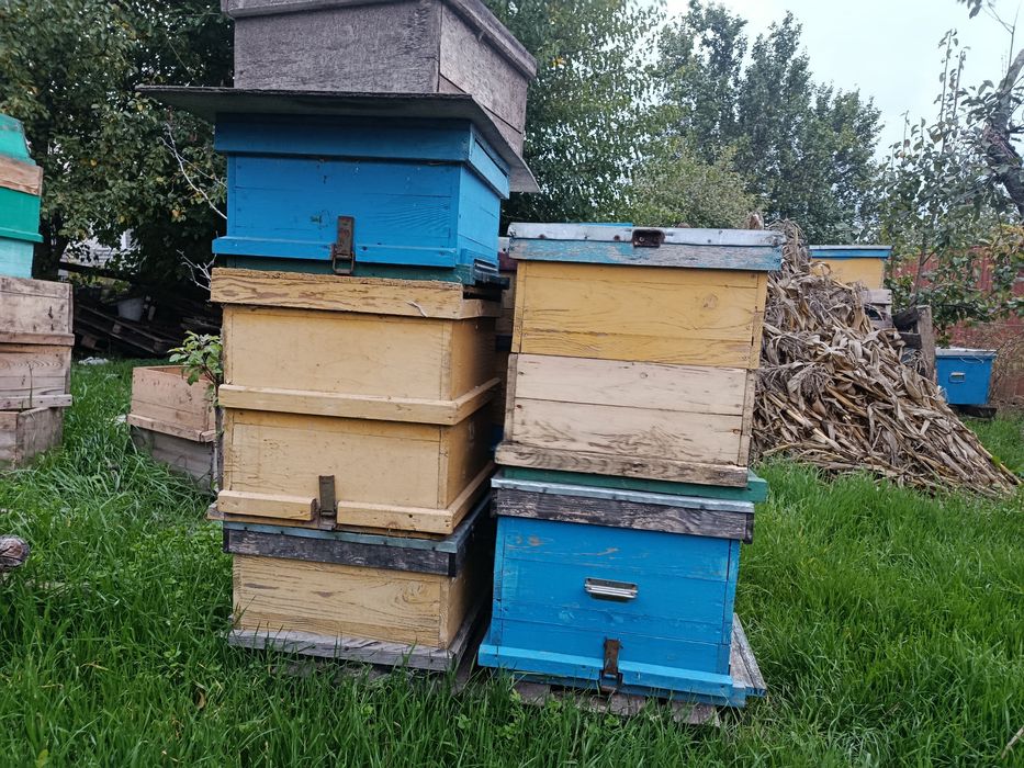 Продам вулики б/у