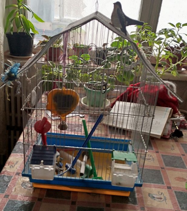 Клетка для попугаев, птичек.
