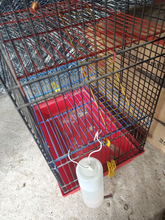 klatka piętrowa dla gryzoni