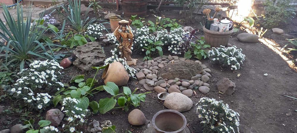 Дом  в Светлом с газом. р8