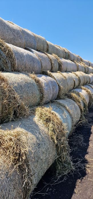 Продам Солому в тюках