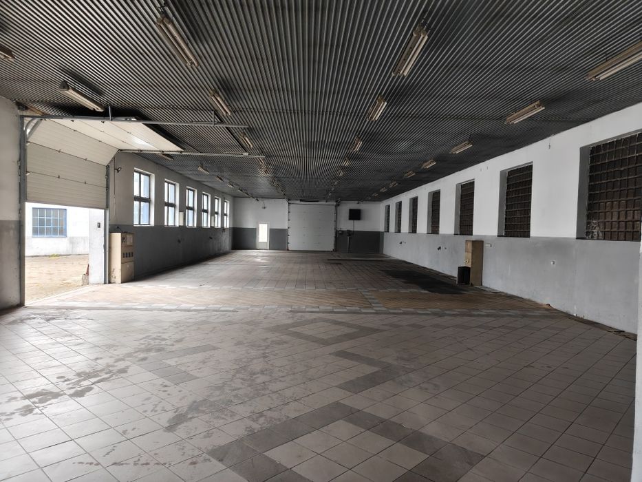 Na wynajem hala 500m2