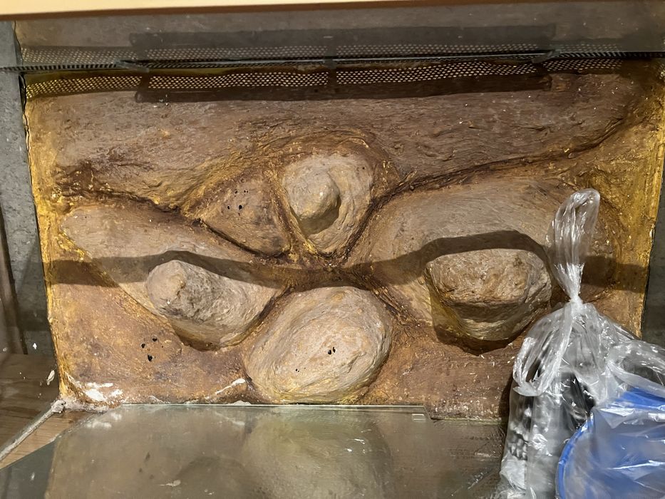 Terarium dla gadów