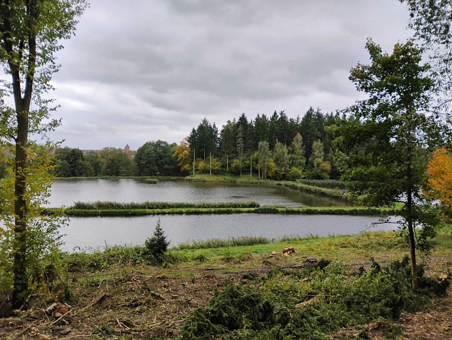 Sprzedam stawy hodowlane karpiowe