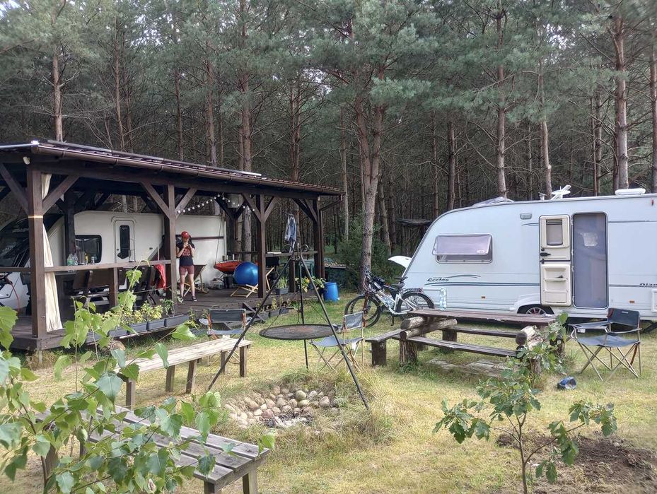 Sprzedam działkę 3000 m2 w kompleksie działek leśnych.