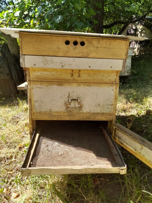 Вулик на 24 рамки