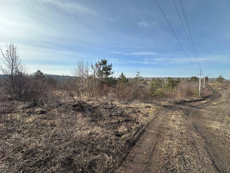 Продаж земельноі Ділянки 30 соток Епіцентр Ружична