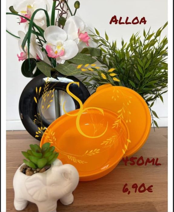 Alloa - tupperware