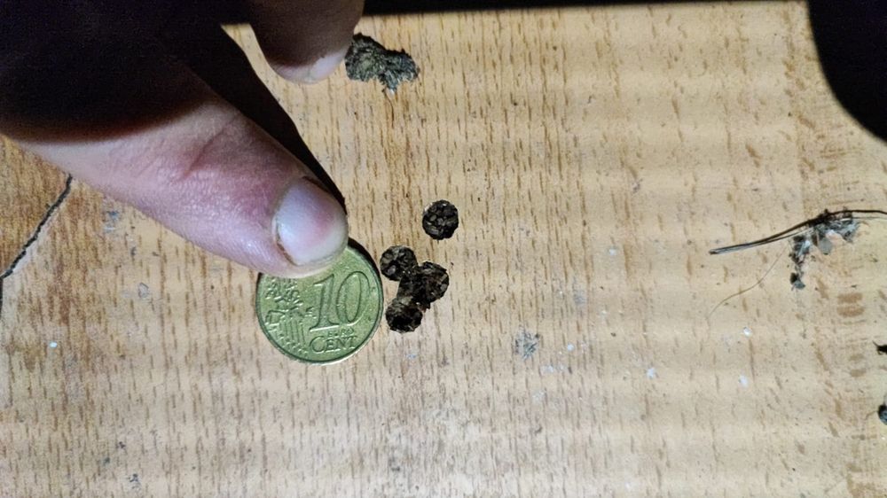 Manutenção, oxidação, tuning kit, carabina pressão de ar