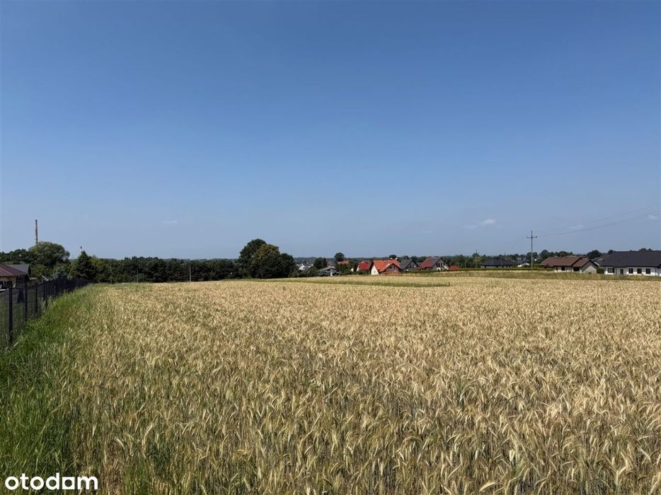 Działka budowlana 964 m² Bestwina
