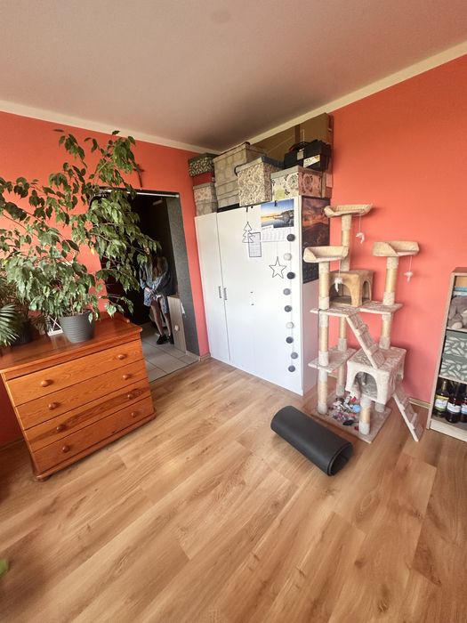 Kawalerka na wynajem Legnica - Widok 2