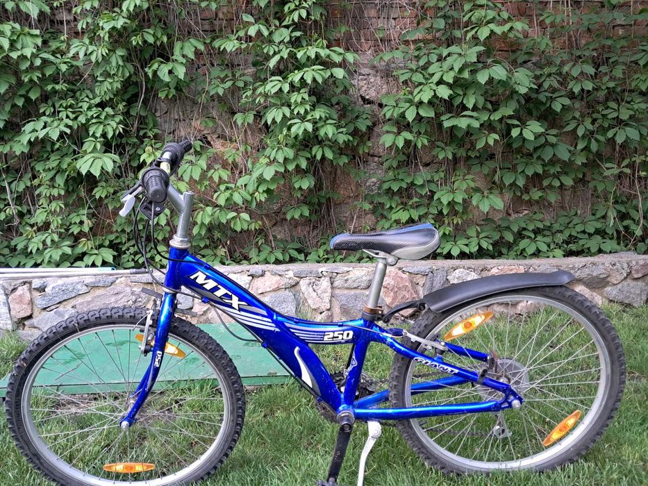 Велосипед підлітковий GIANT MTX 250
