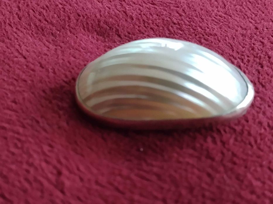 Pierścionek i broszka / zawieszka z muszlą