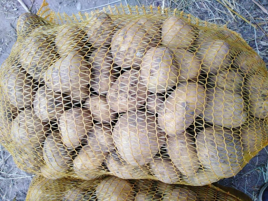 Ziemniaki jadalne odmiana Michalina Jurek worek 15kg