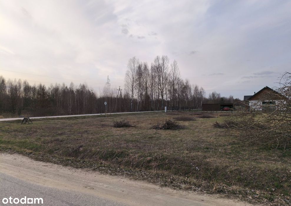 Zdjęcie 2