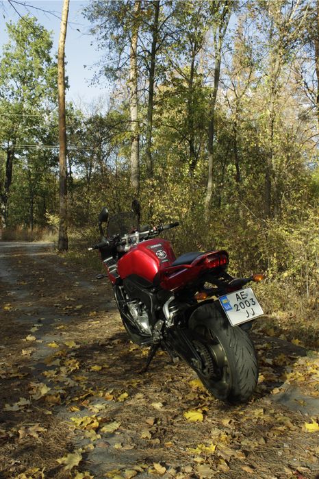 Yamaha FZ1S 2009