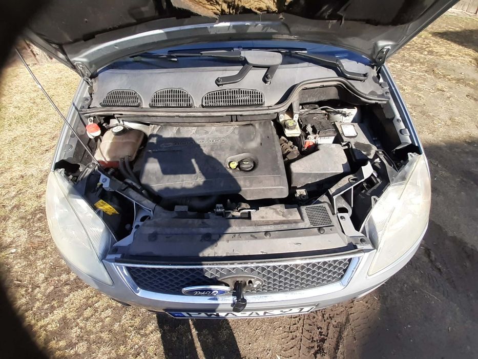 Forf Focus c-max