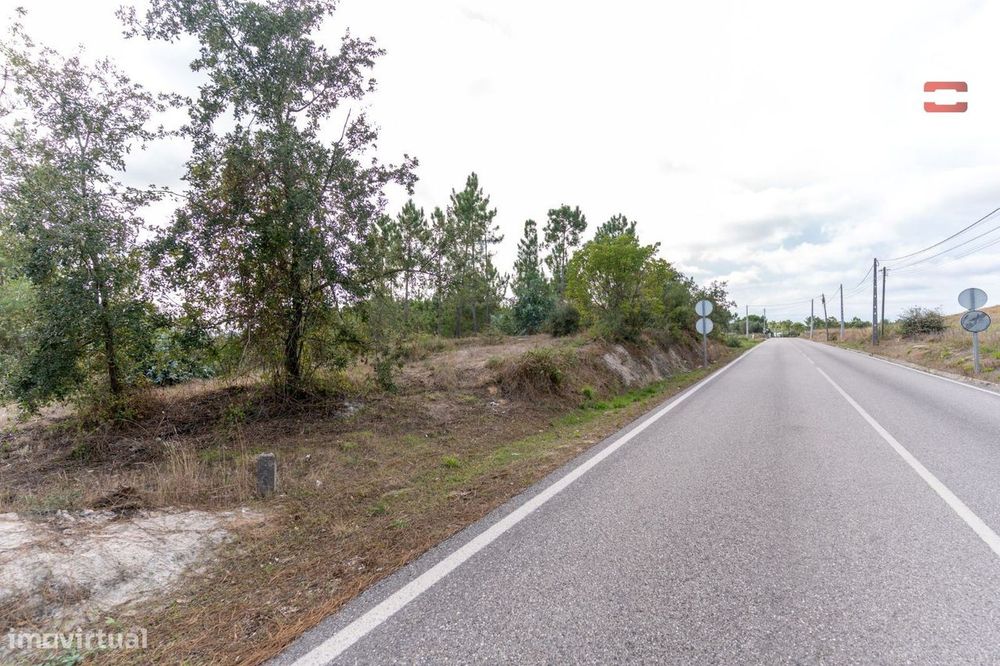 Terreno Rústico com Viabilidade de Construção em Juncal