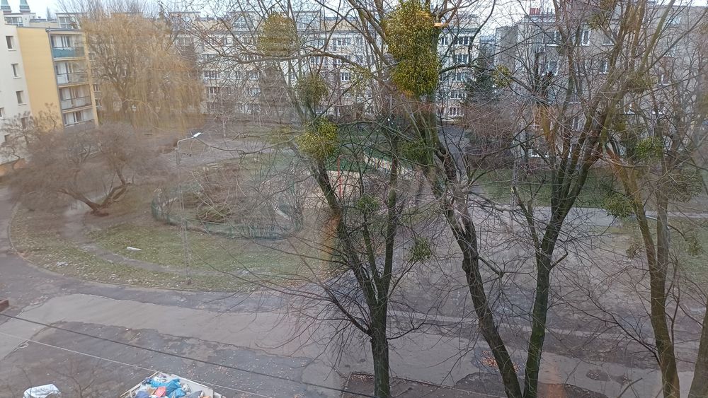 Wynajmę mieszkanie 2 pokoje  37mkw w Pruszkowie - Widok 4