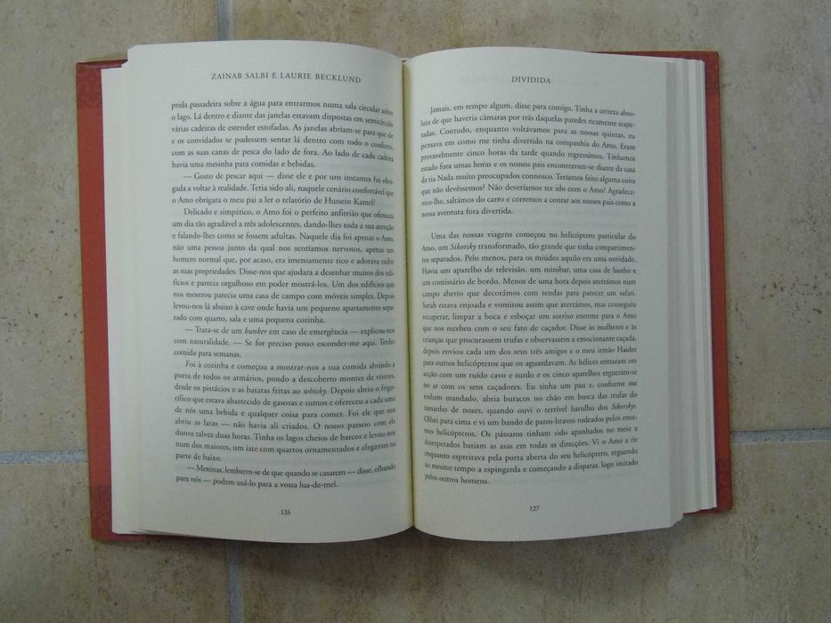 Dividida, Zainab Salbi