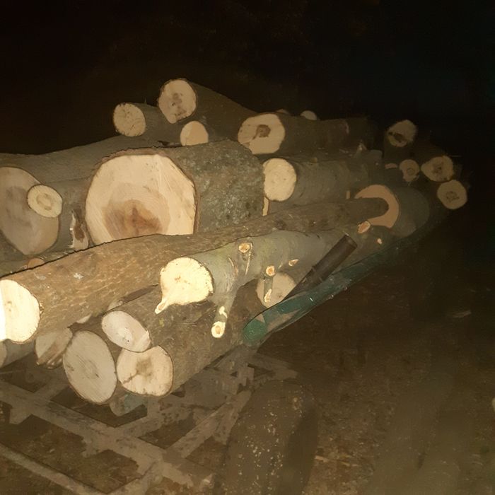 Продам дрова 650.