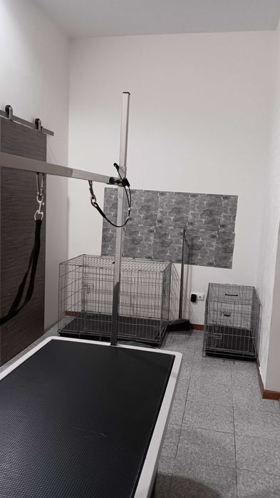 Trespasse loja de Banhos e Tosquias