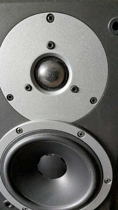 Акустична система Dynaudio DM 2/6