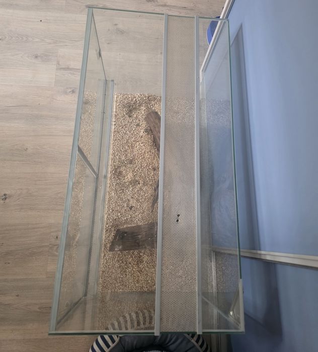 Terrarium 80x40x50