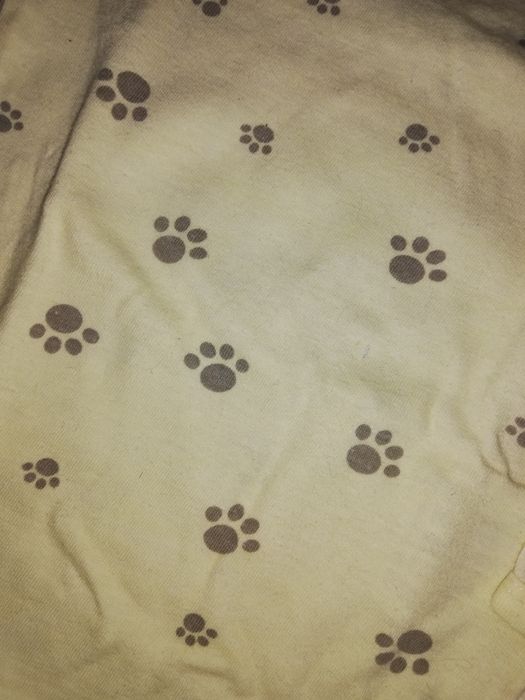 Body w łapki 62 Relefun