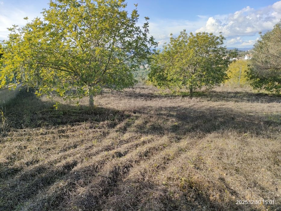 Alugo terreno com anexo