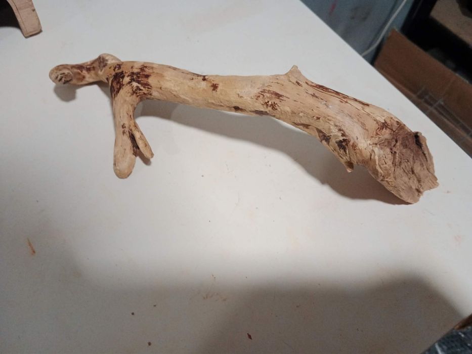 Akcesoria dla chomika