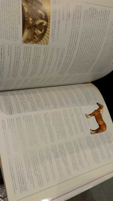 The Encyclopedia of the Horse - Elwyn Hartley Edwards